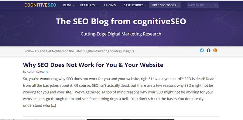 CognitiveSEO