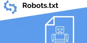 فایل robots.txt چیست؟ – اهمیت، کاربرد و نحوه ساختن robots.txt