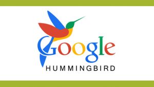 الگوریتم مرغ مگس­ خوار گوگل (Hummingbirds) چیست و چه تاثیری بر سئو دارد؟