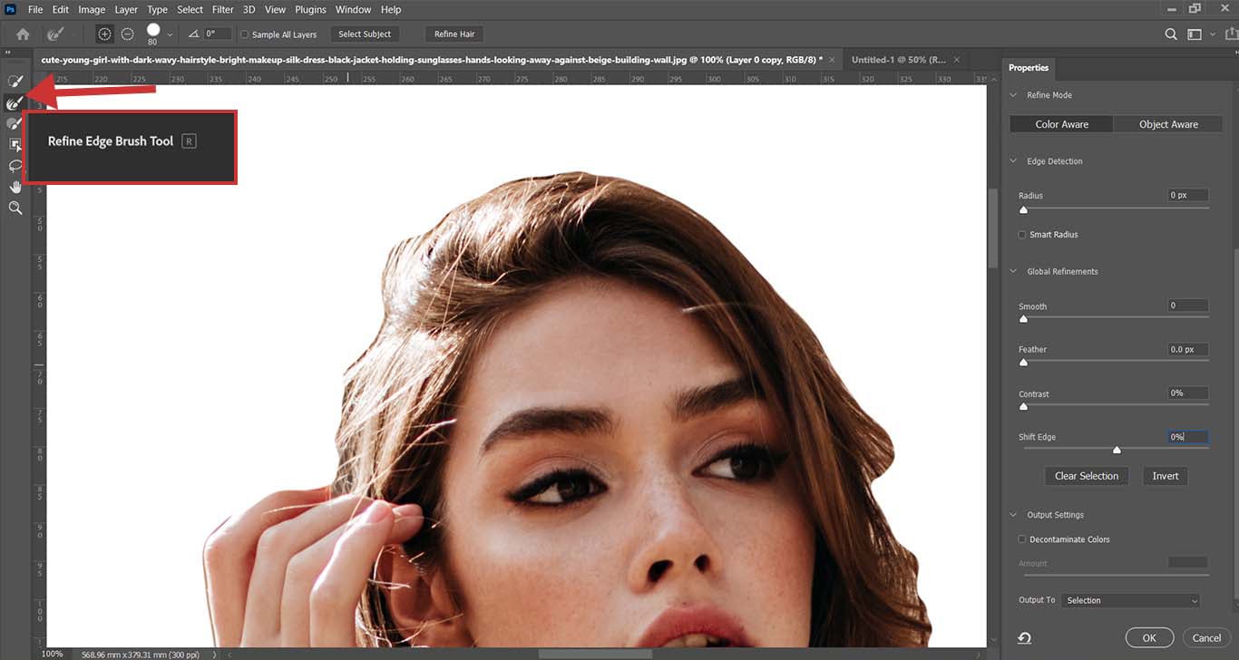 گزینه Refine Edge Brush Tool در فوتوشاپ