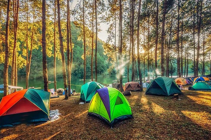 کمپینگ و برپایی اردوگاه تفریحی در زمین‌های جنگلی
