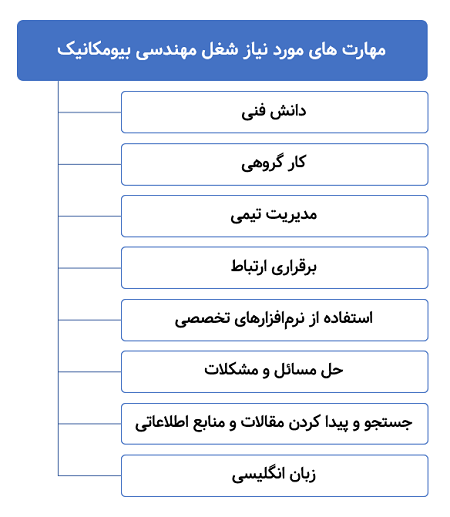 مهارت های مورد نیاز شغل مهندسی بیومکانیک